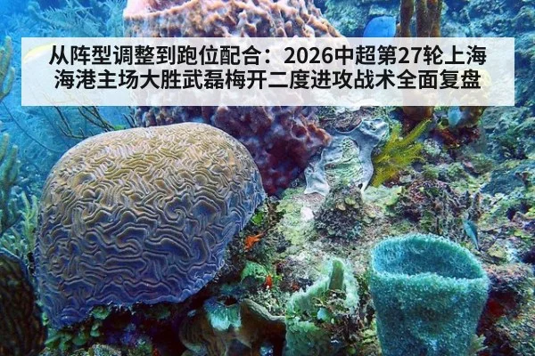 从阵型调整到跑位配合：2026中超第27轮上海海港主场大胜武磊梅开二度进攻战术全面复盘